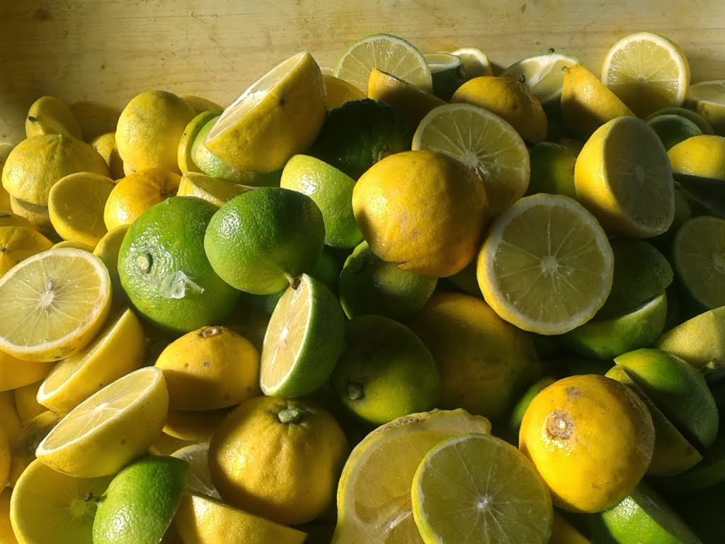 Sicilian bergamot