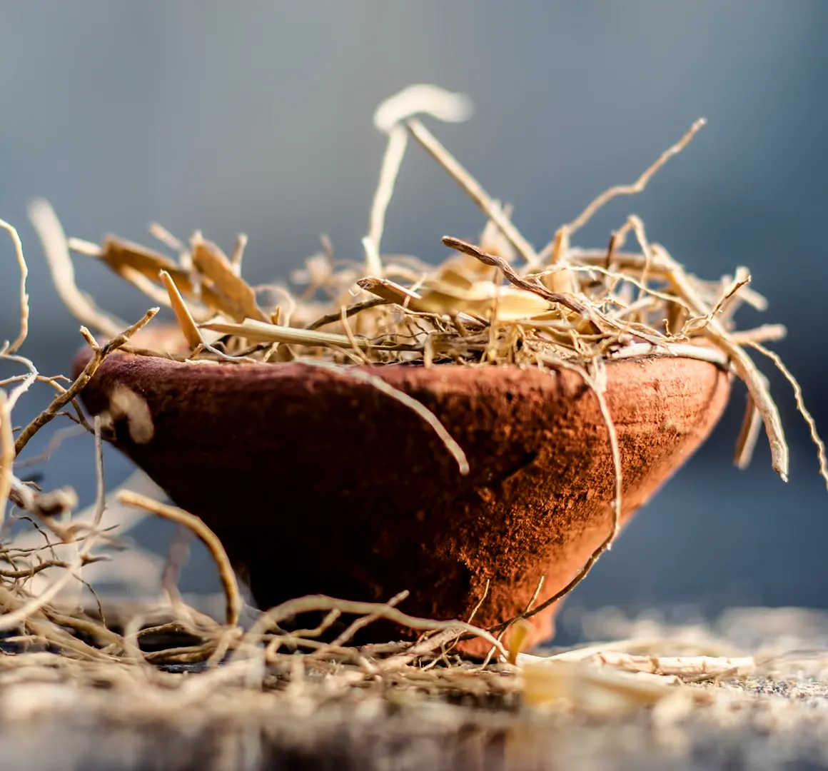 earthy vetiver